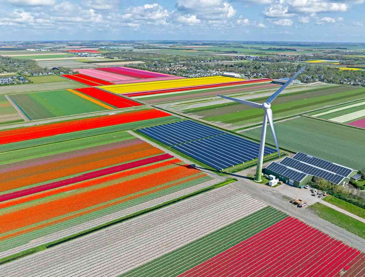 Eolico e solare europeo sopra le fossili per la prima volta da gennaio a giugno